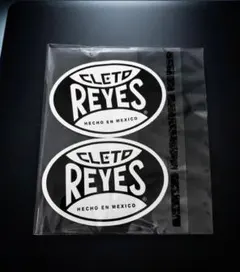 Item thumbnail for item 806d7d7d-06a1-4604-bc7a-38fe5c6cf93a