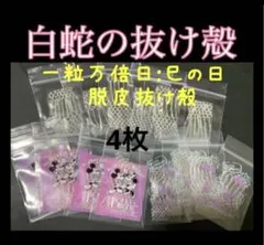 2026年最新】白蛇抜け殻の人気アイテム - メルカリ