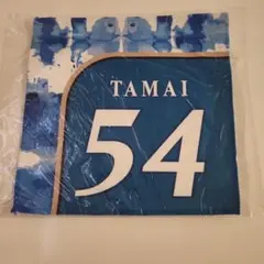 日ハム 玉井大翔 ハンドタオルのサムネイル