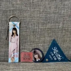 Item thumbnail for item b371755b-bfe4-4561-90cc-9c5e43476a68