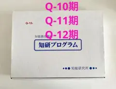 キッズアカデミー　チャイルドアイズ　知研プログラム　Q-10,11,12期のサムネイル