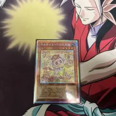 マルチャミーニャルス　プリシク