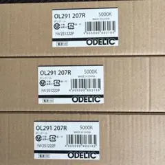 OD361 097 ダウンライト 2700K 100W - メルカリ