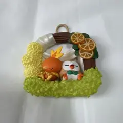 ポケモン アチャモ モクロー リーメント