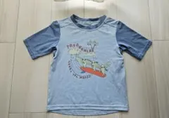 PATAGONIA 魚とサーフボード Tシャツ 110cm　ラッシュガード
