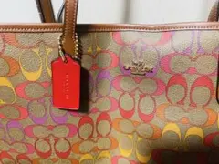 COACH コーチ トートバッグ シグネチャー マルチカラー C1316
