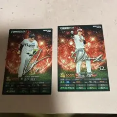 カルビー　プロ野球スピリッツ　野球カード