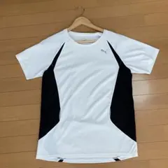 Item thumbnail for item ca373de2-71e1-4a54-aa11-abd7bfcdd685