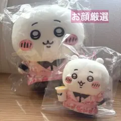치이카와 ANA コラボ ぬいぐるみ マスコット 2点セット ana