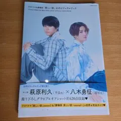 TVドラマ&劇場版　美しい彼 公式ビジュアルブック
