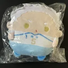 【匿名配送】ハイキュー　ぬいくじ　星海光来　C賞
