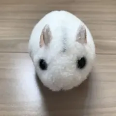 2026年最新】ぶるぶるハムスターの人気アイテム - メルカリ