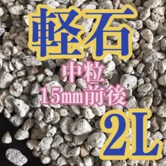 軽石 中粒 2L 多肉植物 サボテン 観葉植物土 魂根植物のサムネイル