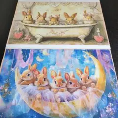 ①未使用　可愛いウサギちゃんパネル2枚です。