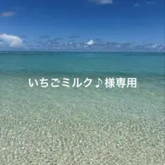いちごミルク♪様専用。パイナップルクッキーチャーム