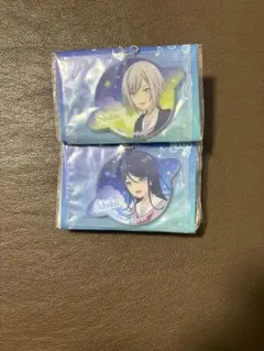 プロセカ アクリルキーホルダー 日野森志歩 星乃一歌