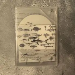 2025年最新】サカナクション 魚図鑑 完全生産限定盤 プレミアムの人気