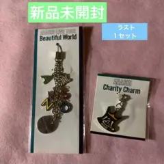嵐ARASHI TOUR Beautiful World キーホルダー・チャーム