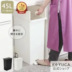 【ブラック】ケユカ KEYUCA両開きダストボックス LL（42L） ゴミ箱