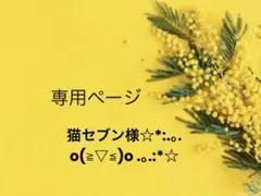 こちらは専用ページです。