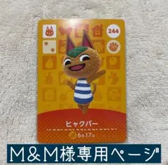 【⚠️専用ページ】あつまれどうぶつの森 amiiboカード ヒャクパー他1枚