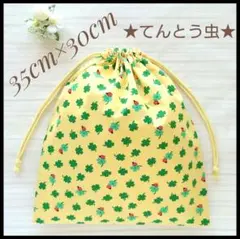 てんとう虫 昆虫 b 35×30 体操着袋 着替え袋 お道具袋 ハンドメイド