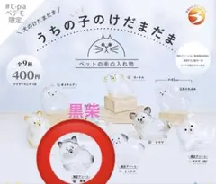 うちの子けだまだま　黒柴　シープラ　ぺテモ限定