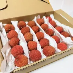 鹿児島県産生ライチ　品種　ホンフェイ　タイサン　mix 島津2パック クール便 国産 生ライチ 鹿児島県から 希少 採れたて配送 - メルカリ