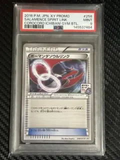 2026年最新】258/XY-P ボーマンダソウルリンクの人気アイテム - メルカリ