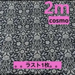 Item thumbnail for item 2da02778-f9d2-42bf-bddd-9b0c816d4bd0