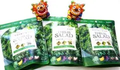 会社が野菜畑です【THIS IS SALAD】ケールとフルーツの板グラノーラ3個