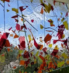 Item thumbnail for item 51685c0d-6291-47ed-8481-04cf31b47057