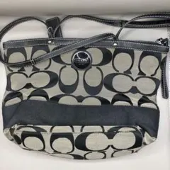 コーチ トートバッグ ベージュ ブラウン シグネチャー F15112