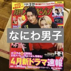 ザテレビジョン なにわ男子 切り抜き 雑誌