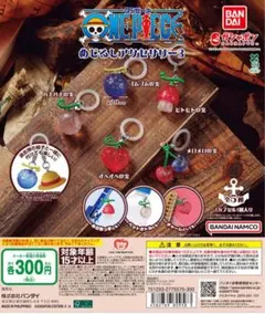 ワンピース めじるしアクセサリー ヒトヒトの実