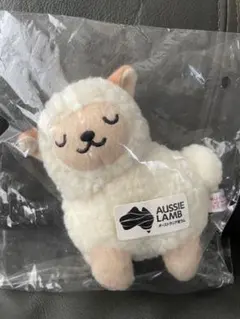AUSSIE LAMB 羊ぬいぐるみ メジャー