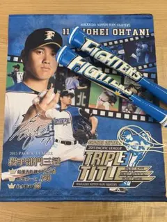 大谷翔平 日本ハムファイターズ 記念タペストリー 応援グッズ