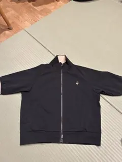 Item thumbnail for item 1199bb3f-4365-4508-b398-130ed1bd0f18