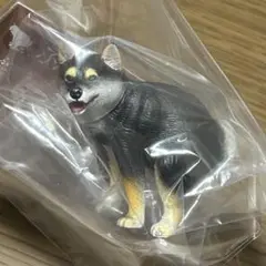 黒柴 カプセルトイ