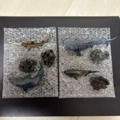 saitamaeiji様 リクエスト 2点 まとめ商品