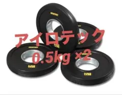 アイロテック Irotec 0.5kg プレート 新品 2枚