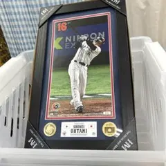 大谷翔平　2023 WBC コインフォトのサムネイル