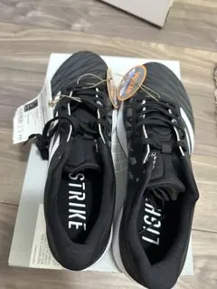 Item thumbnail for item b995ed47-a2ec-40db-b2b4-48902b7428ce