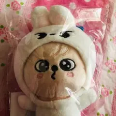 【未開封】skzoo トイワールド バッグチャーム　パピーム スンミン スキズ