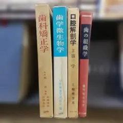 Item thumbnail for item 50e3994e-6063-4744-8442-b484ec775742