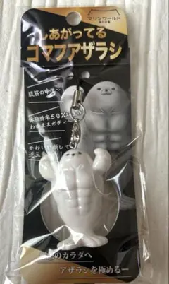 しあがってる　ゴマフアザラシ　マリンワールド海の中道限定
