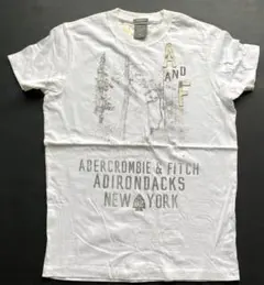 未使用◇00sアバクロヴィンテージTシャツM◇インディアンロゴ白 