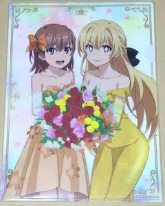 2025年最新】食蜂操祈 クリアファイルの人気アイテム - メルカリ