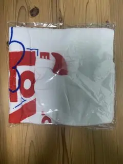 BABYMONSTER ベビモン　フード付タオル SS席特典