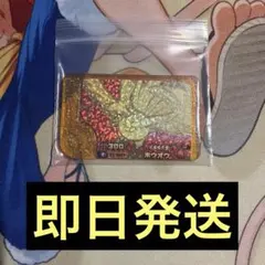 ポケモンフレンダ ホウオウ 300